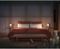 Philips Hue White ambiance Inteligentna Żarówka 2xE27 1100lm 8719514291256 - 709615 - zdjęcie 4